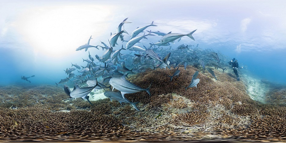 GOOGLE GOES UNDERWATER